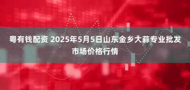 粤有钱配资 2025年5月5日山东金乡大蒜专业批发市场价格行情