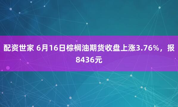 配资世家 6月16日棕榈油期货收盘上涨3.76%，报8436元