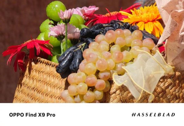 弘利配资 真2亿解析力 OPPO Find X9 Pro掀起画质革命