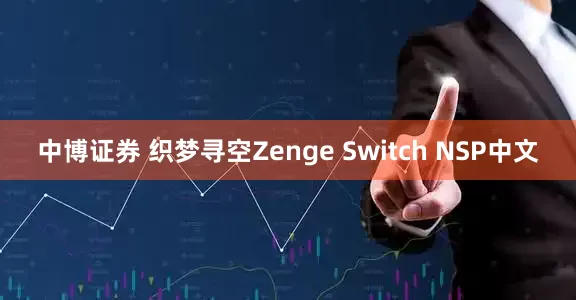 中博证券 织梦寻空Zenge Switch NSP中文